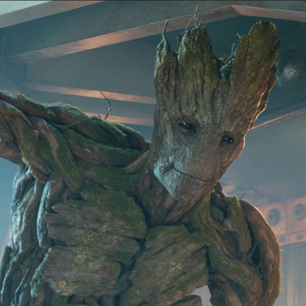 Groot